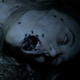 Illustration for article titled The Biggest WTF Moments from Three Years of emAmerican Horror Story/em